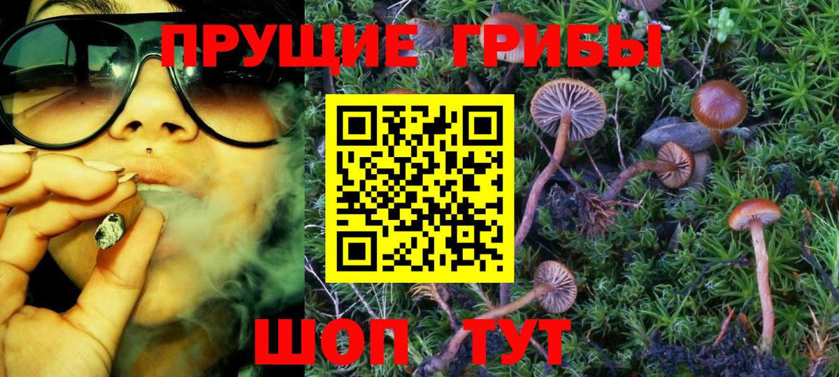 Вятские Поляны  купить   Вход с VPN  Псилоцибиновые грибы Cubensis 