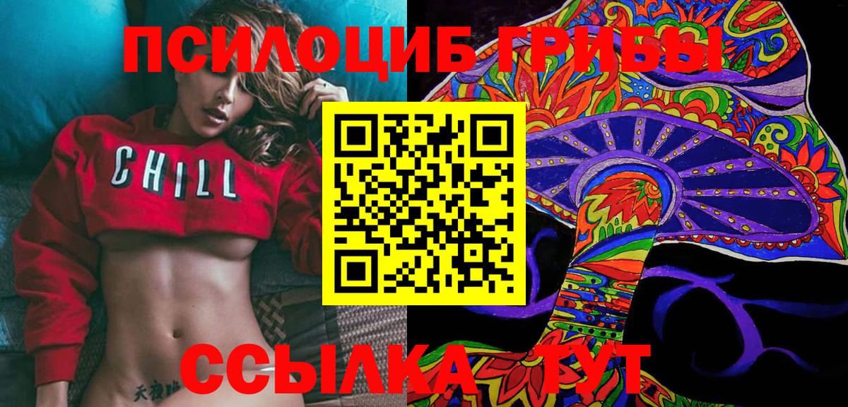 Псилоцибиновые грибы Cubensis Вятские Поляны